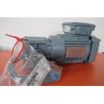 197 RPM 0,55 kW Asmaat 20 mm  IE3. UNUSED 